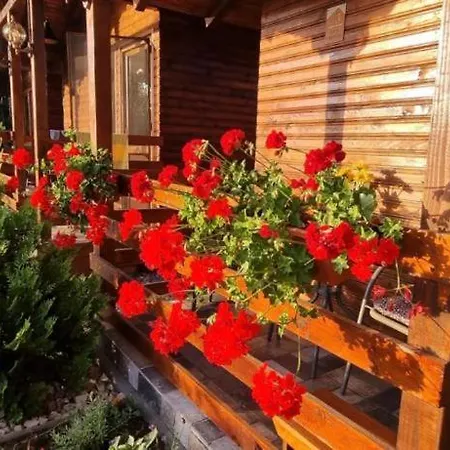 Gradina De Vara “la Cristian” * Filipestii de Tirg