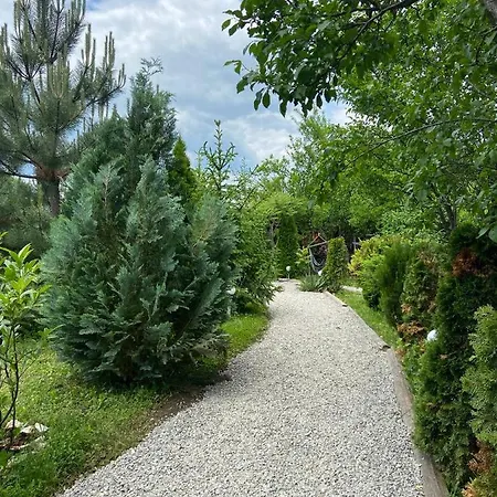 Gradina De Vara “la Cristian” *